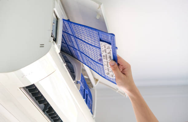 Best Affordable Duct Cleaning Services  in Denton, MD